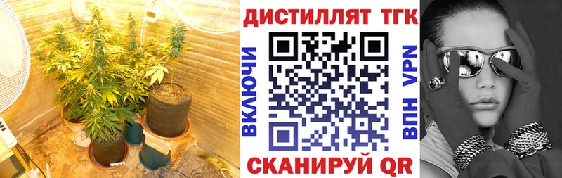 Дистиллят ТГК Wax  Северобайкальск 